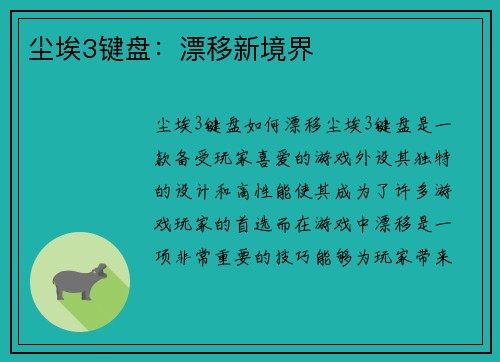 尘埃3键盘：漂移新境界
