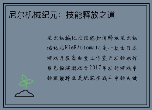 尼尔机械纪元：技能释放之道
