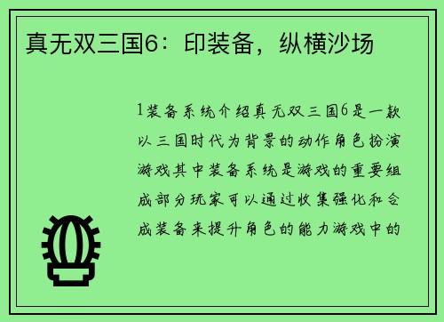 真无双三国6：印装备，纵横沙场