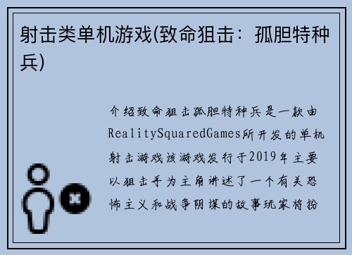 射击类单机游戏(致命狙击：孤胆特种兵)